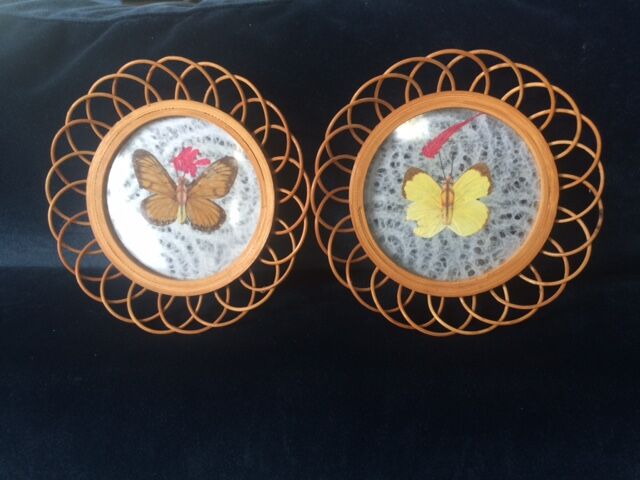 Butterfly coasters in rattan and glass