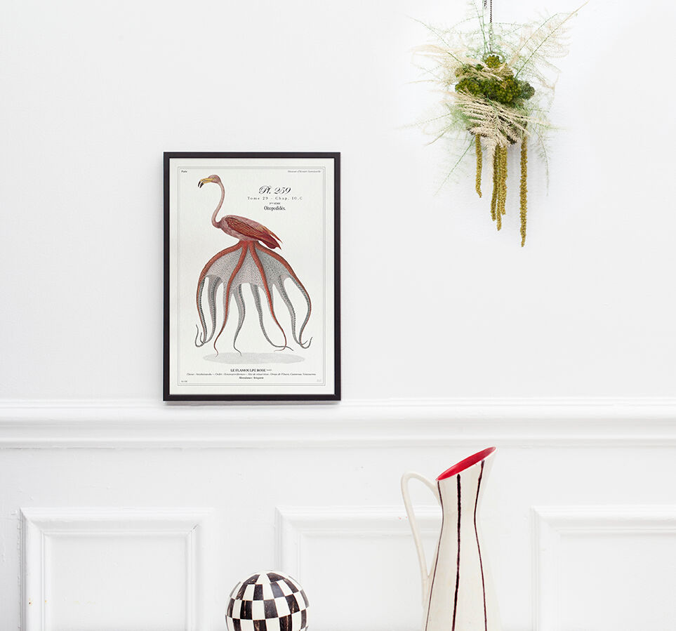 Chimera lithography animal engraving - the pink blazing