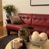 Leather sofa - Danish design