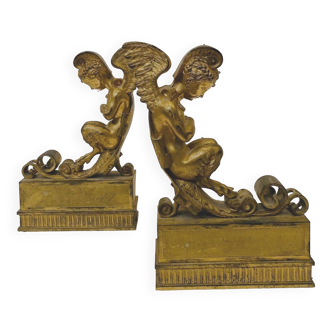 Paire de chenets en bronze doré a décor de faunes ailés XIX siècle