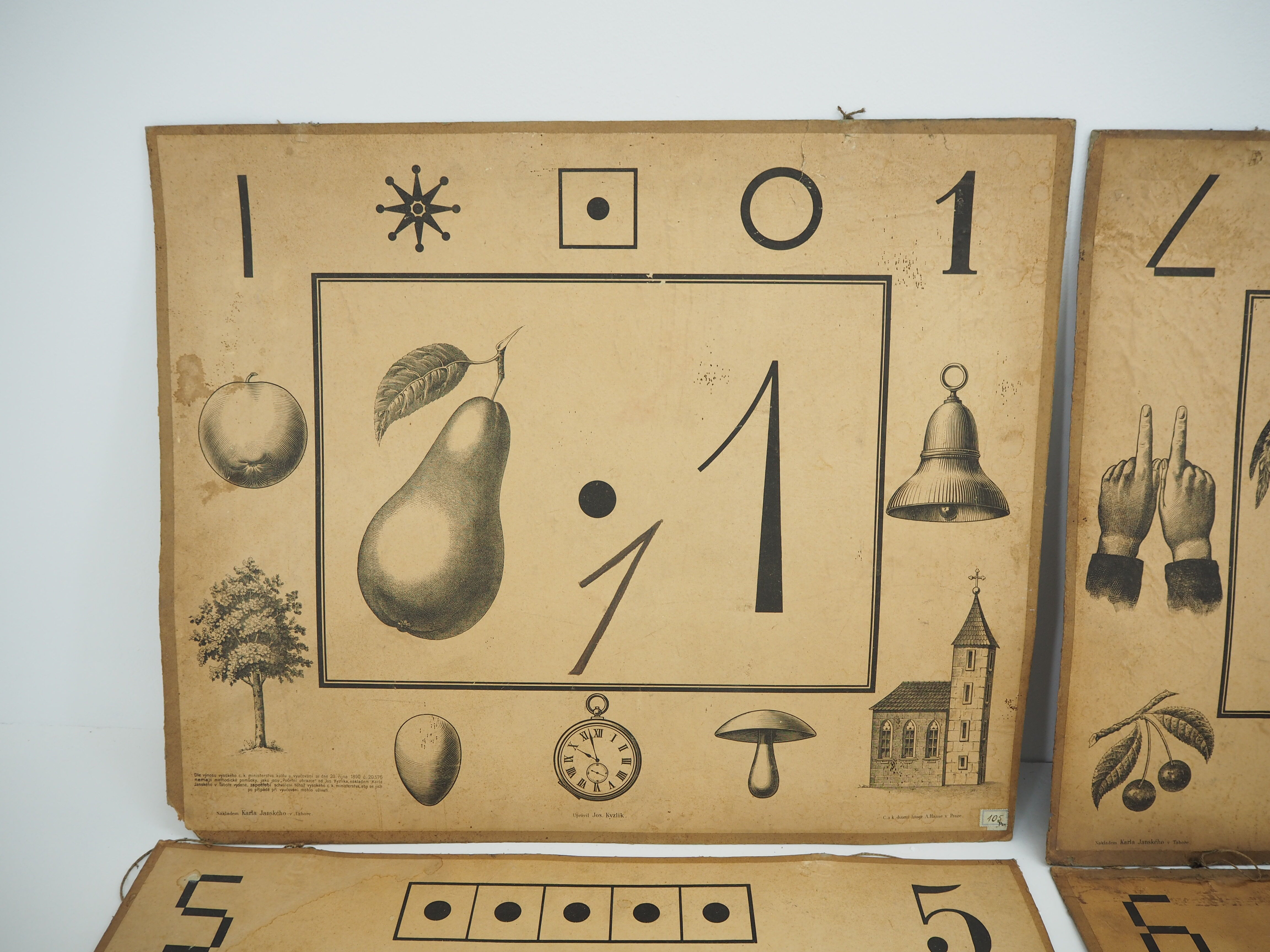 Set Of Nine Antique Teaching Posters from Litography A. Haase, Prague, 1900s