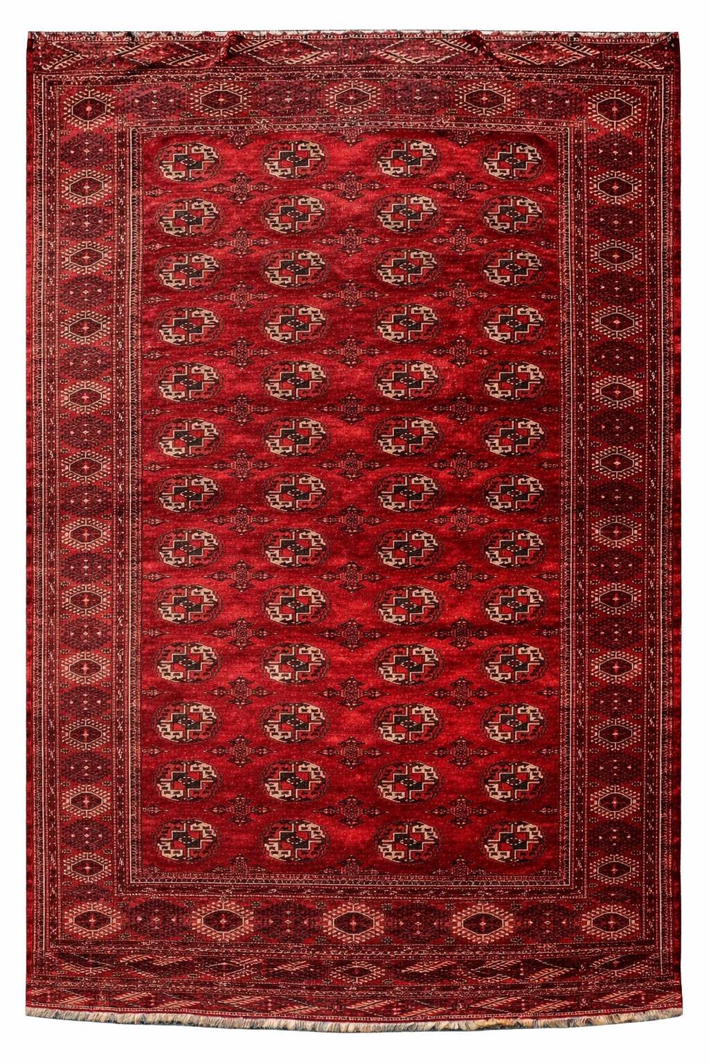 Tapis d'orient Boukhara Turkmène : 310 x 220 Cm