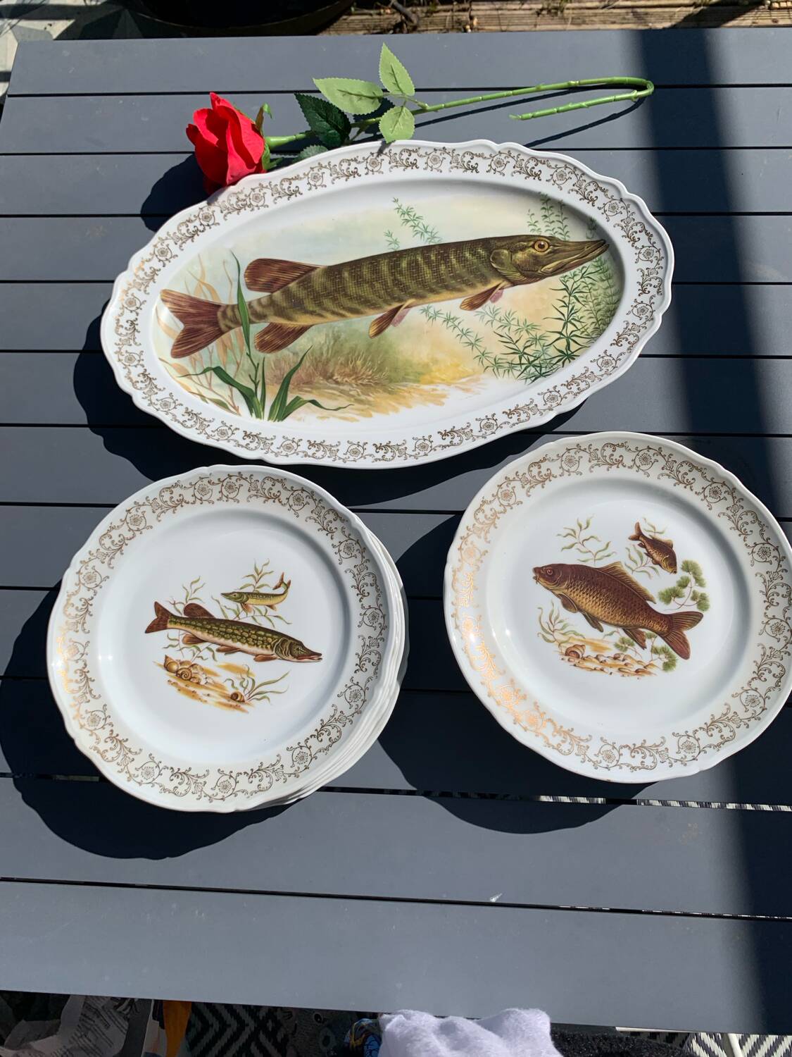 Set of plates and fish dish