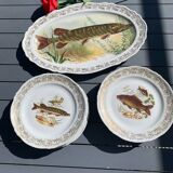 Set of plates and fish dish