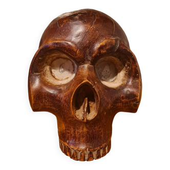Old ethnic funerary skull asmat, irian jaya new guinea - skull - cabinet of curiosities