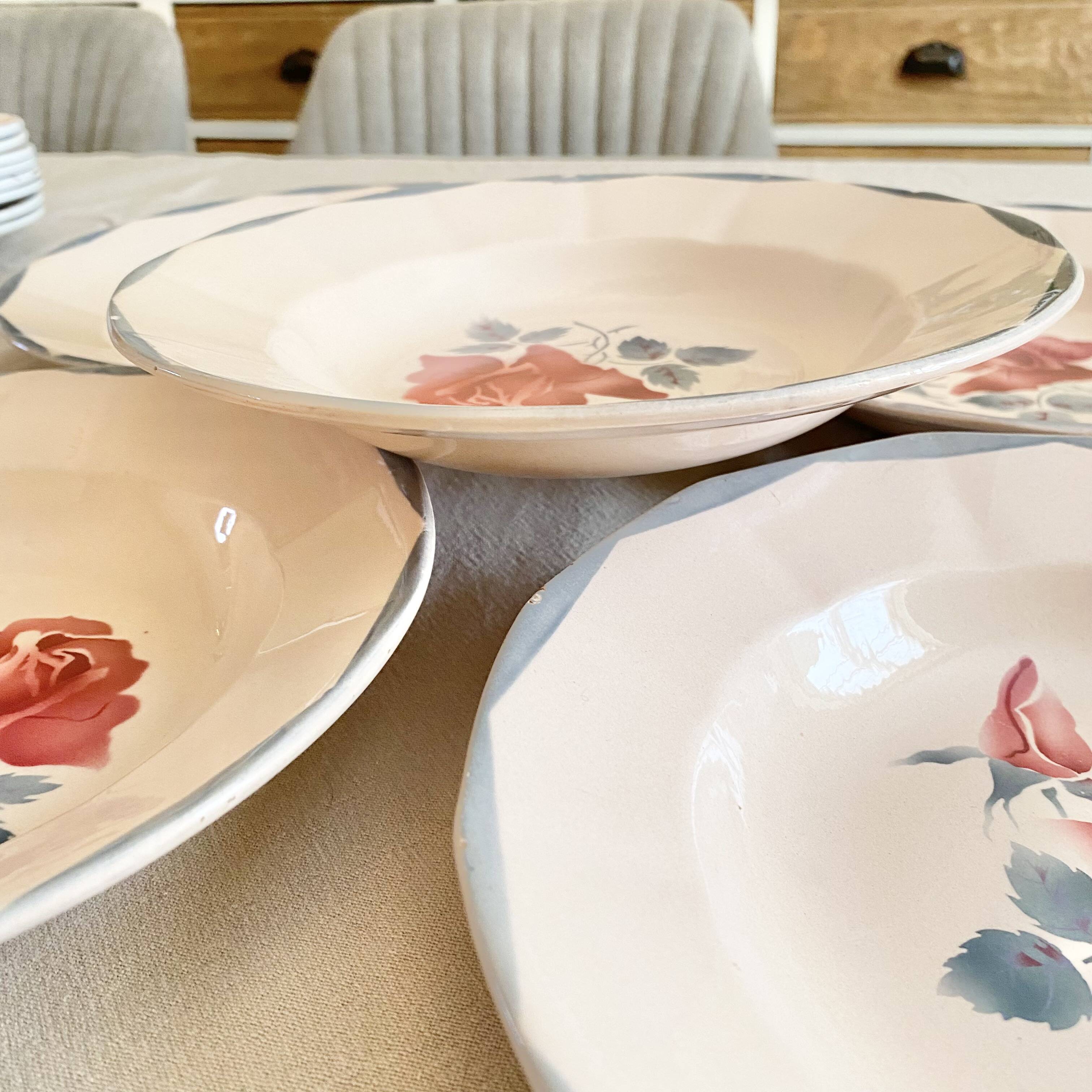 Digouin iron earth soup plates