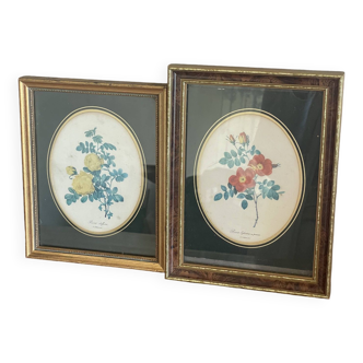 Duo de petits cadres gravure Redouté