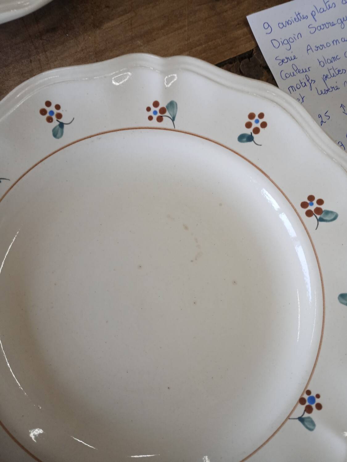 9 old flat plates Digoin Sarreguemines