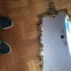 Miroir en bronze 80x55cm