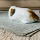 Goebel porcelain dog figurine