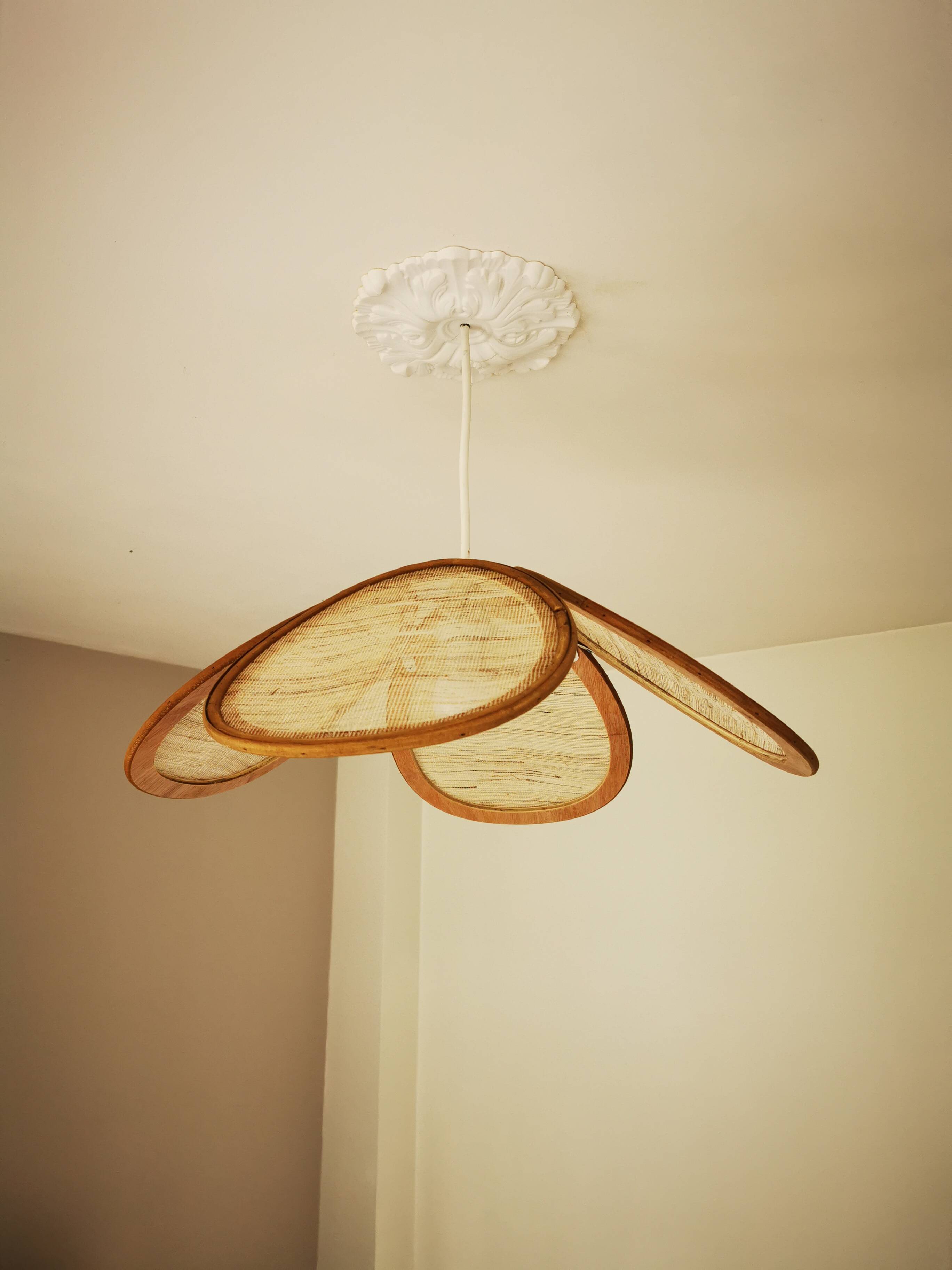 Suspension canvas and bamboo