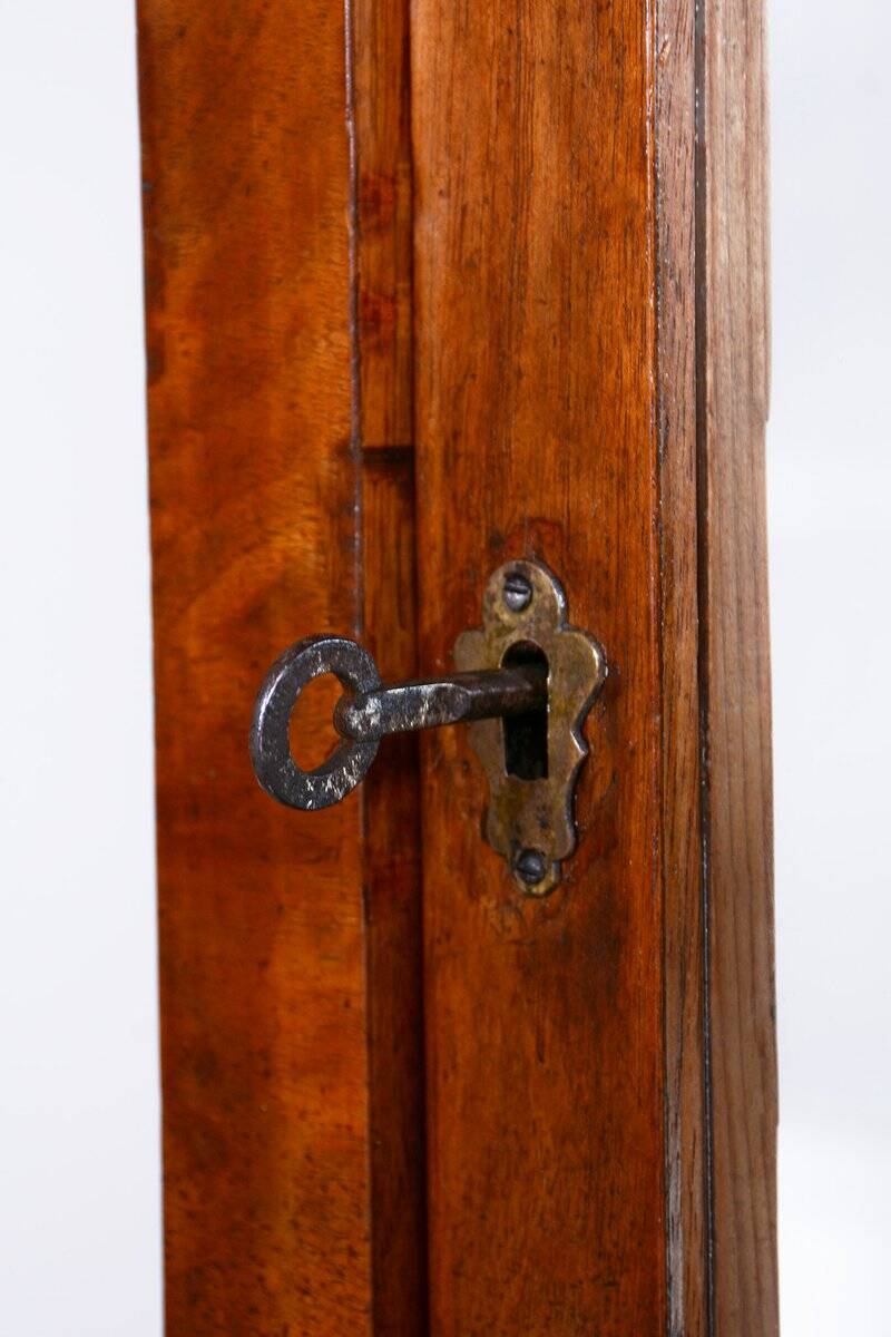 Biedermeier Display Cabinet in Walnut, 1830s