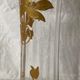 Vase with arabesques of Flowers Gold in Blown Glass Art Nouveau