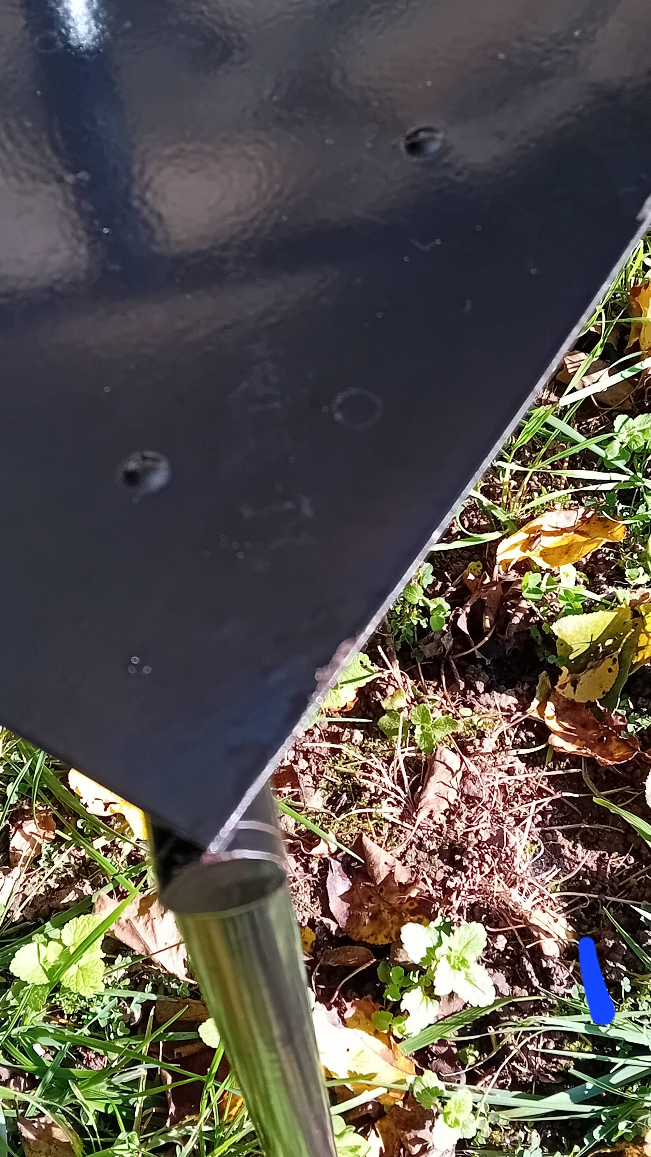 Wendy Wright chairs. Philippe STARCK