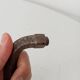 19th-century antique door handle in forged steel