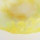 Vintage Mimosa plate by Daum Manufacture in crystal paste, 20th century.