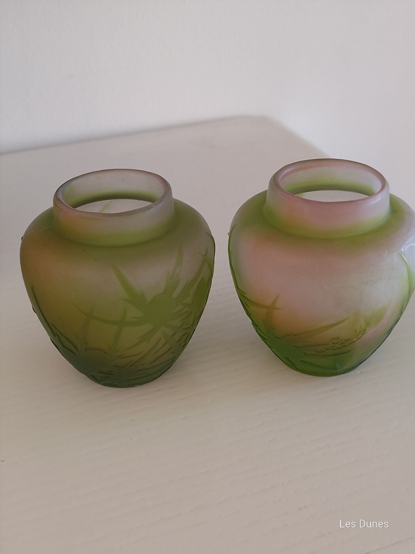 Paire de vases Gallé Art nouveau