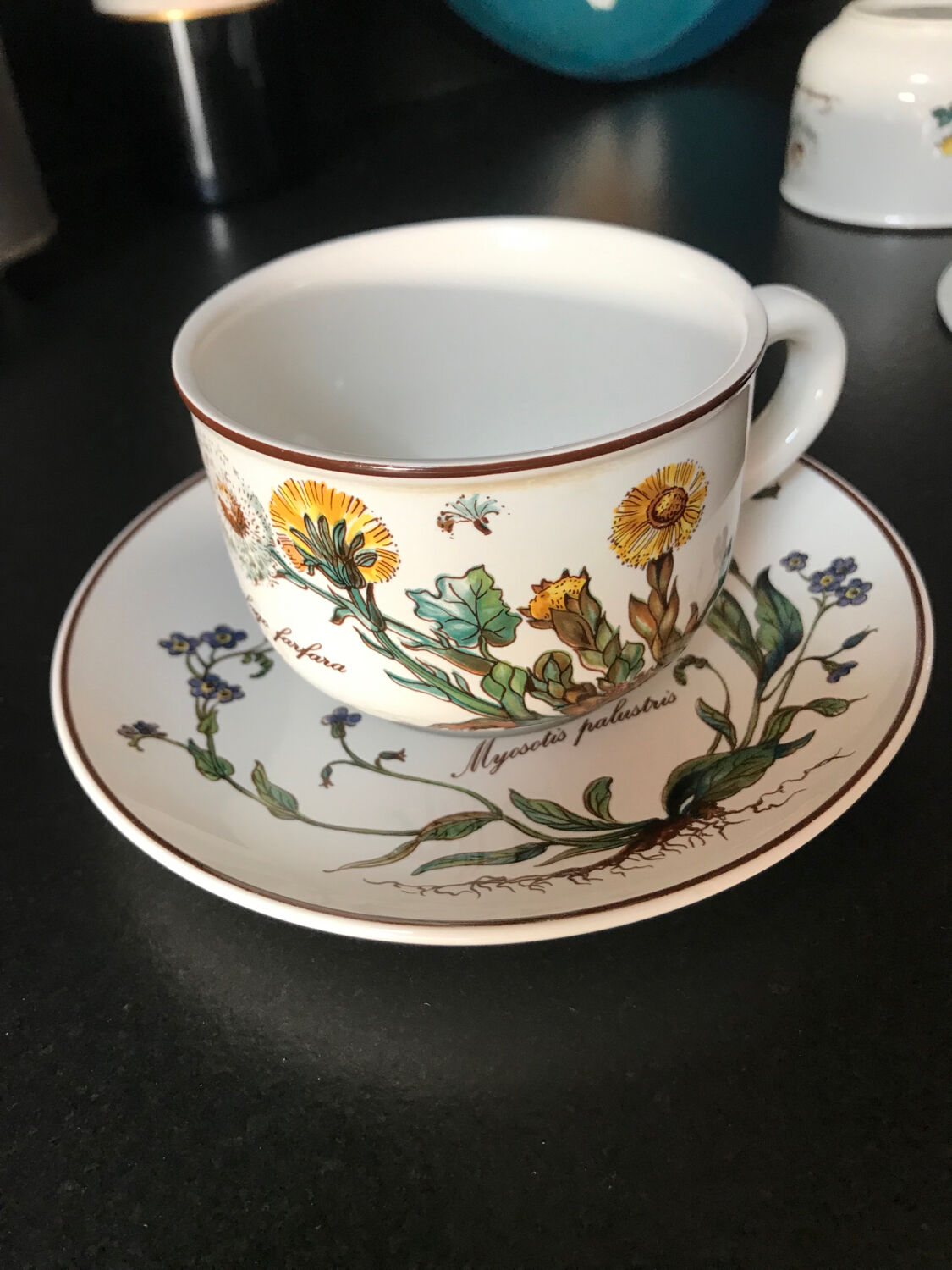 Botanica tea cup