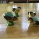 4 coquetiers poussins