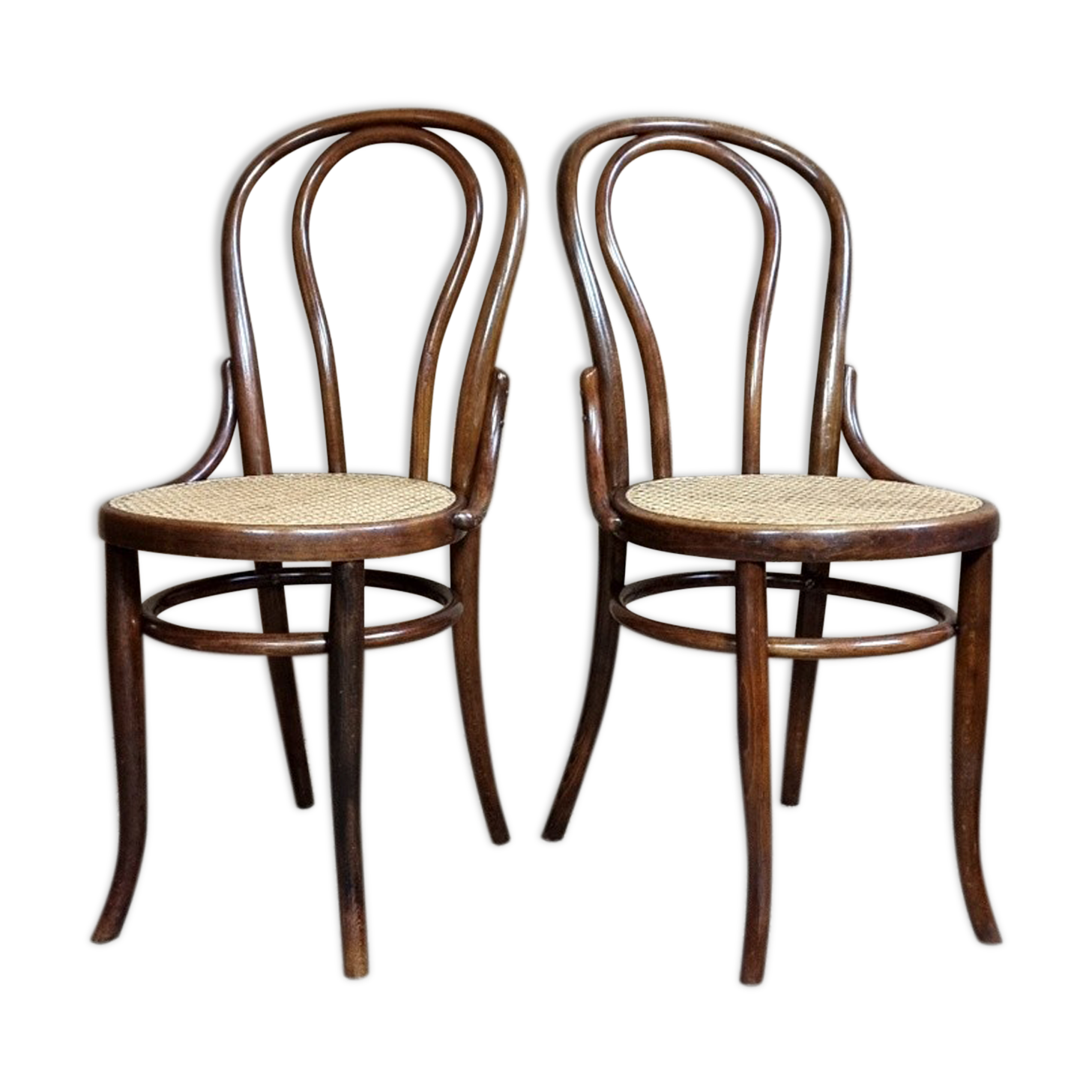 Pair of Fischel chairs n°18 1/2 early twentieth century