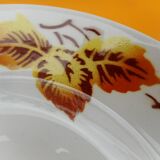 Set of 11 earthenware plates