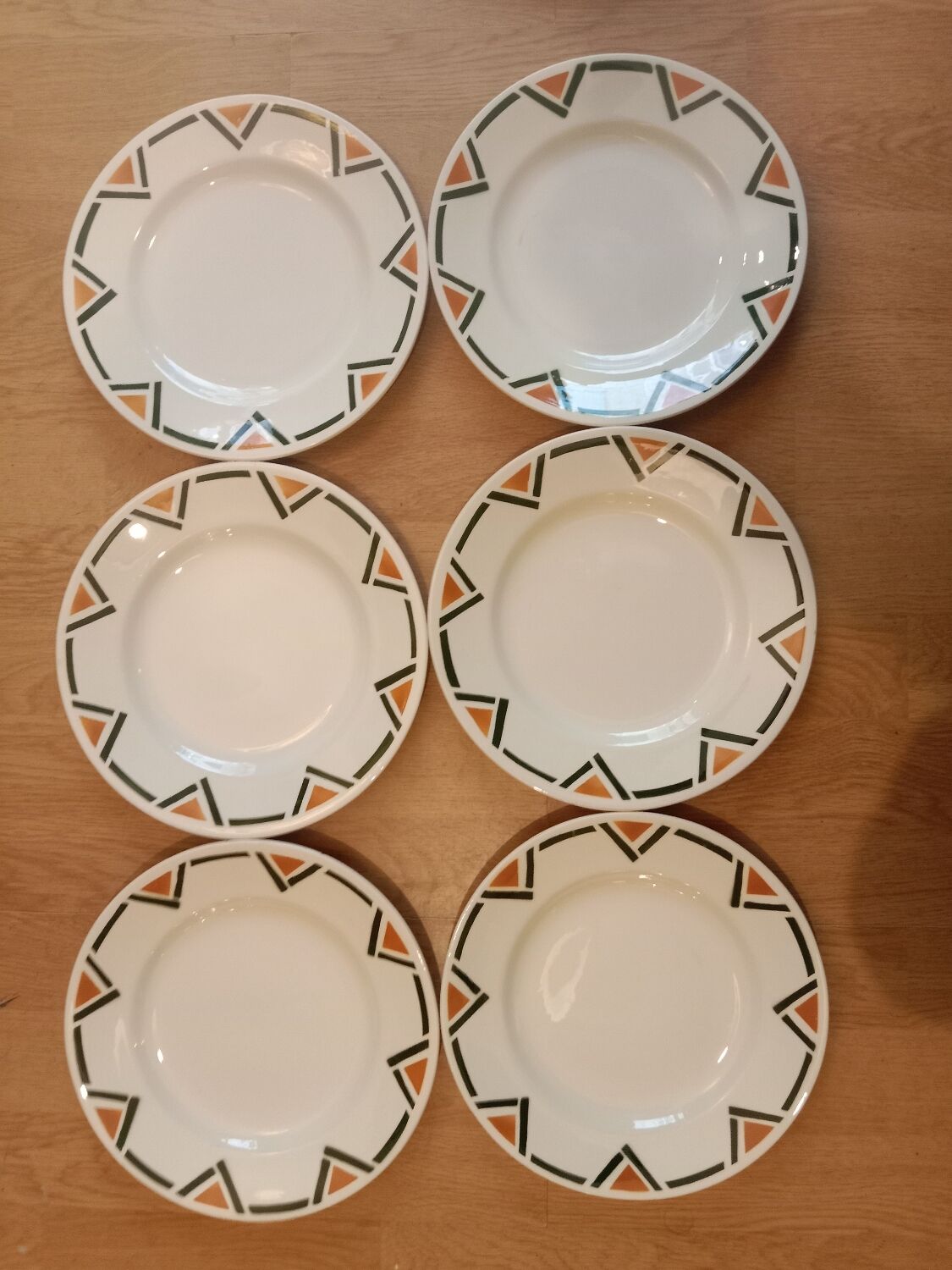 12 flat plates salins-les-bains