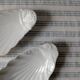 Paire de coupelles en forme de coquillage