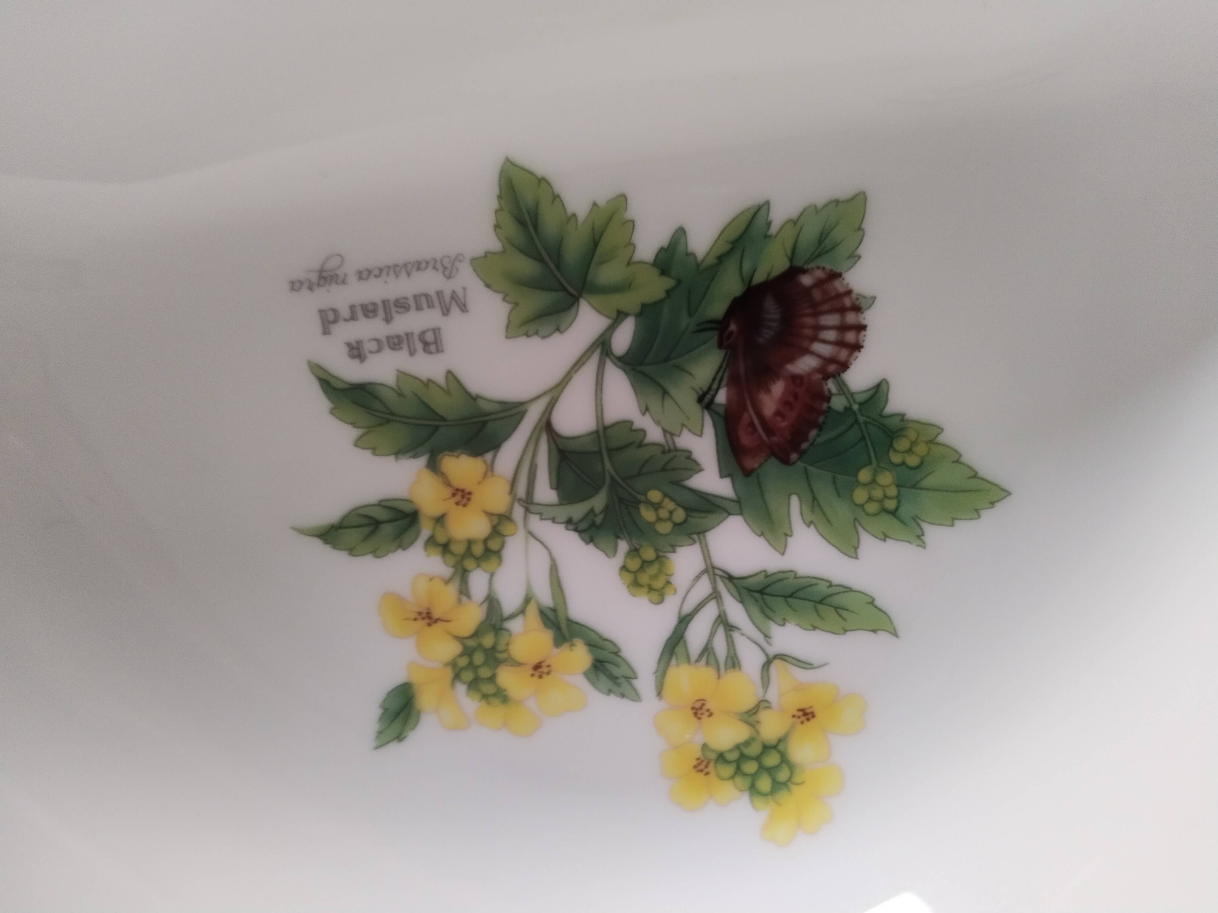 Royal Worchester Herbs English Porcelain Dish