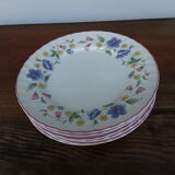 7 English faience plates