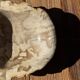 Round beige petrified wood bowl D21- 3780