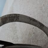 Art deco objects in their art tin juices