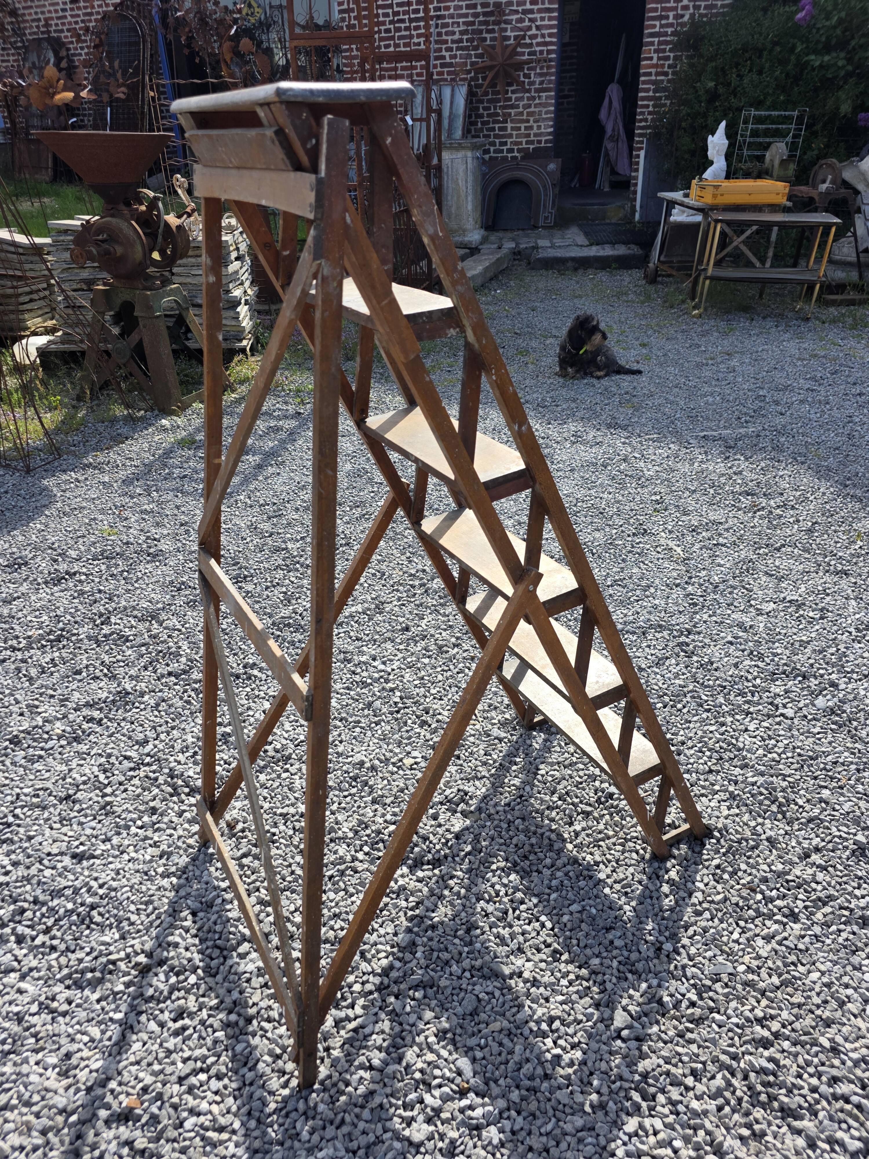 Old wooden step ladder with 6 steps