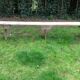 Banc brutaliste