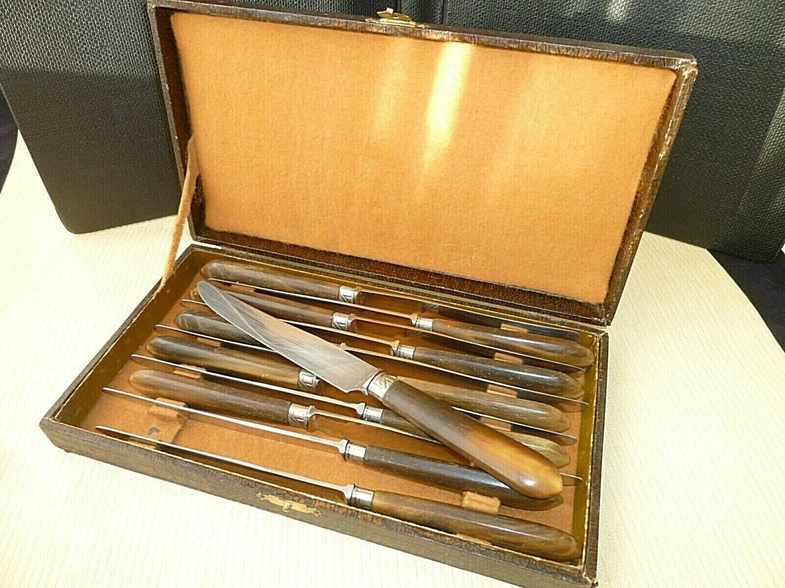 Coffret de 12 jolis couteaux de table Apollonox Corne Bovine et Inox