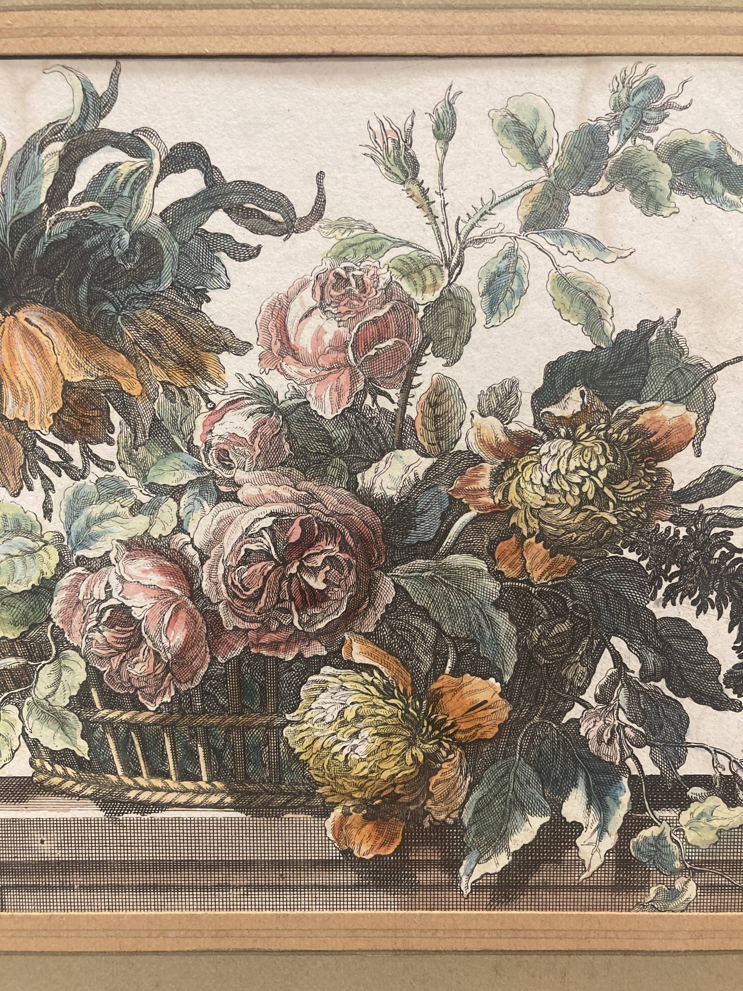 Pair of framed botanical boards