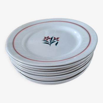 Lot plates Moulin des Loups