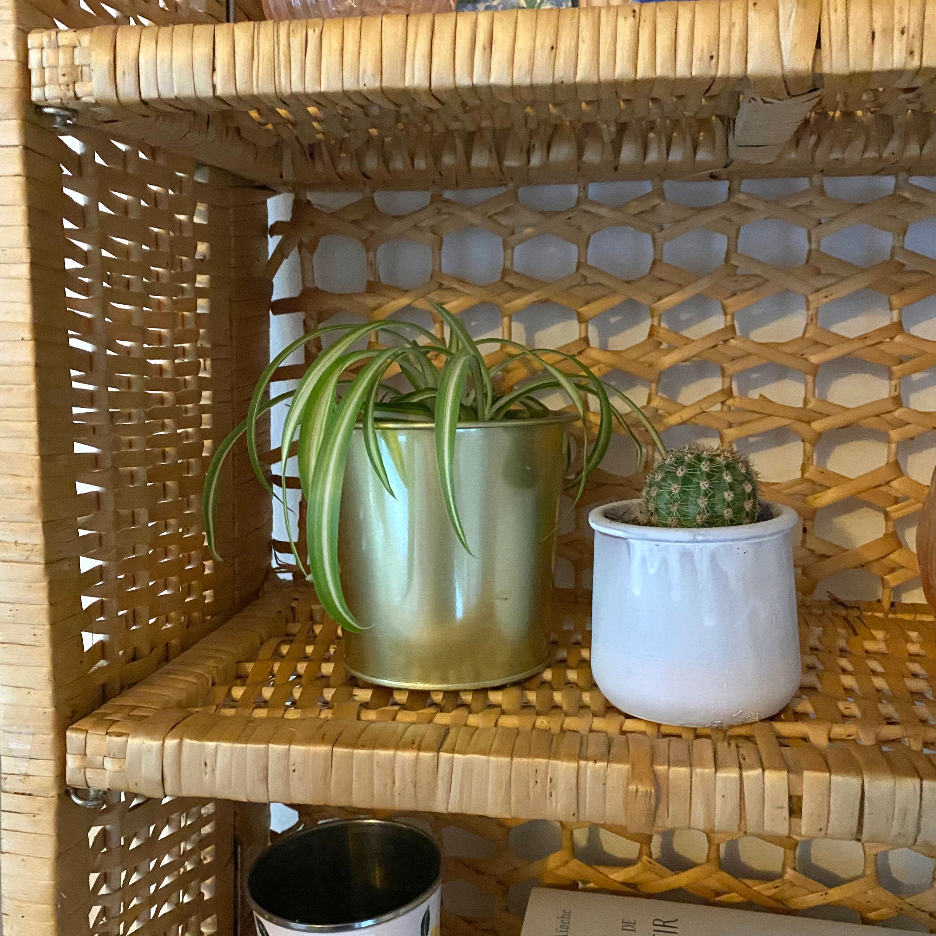 Vintage rattan and bamboo shelves