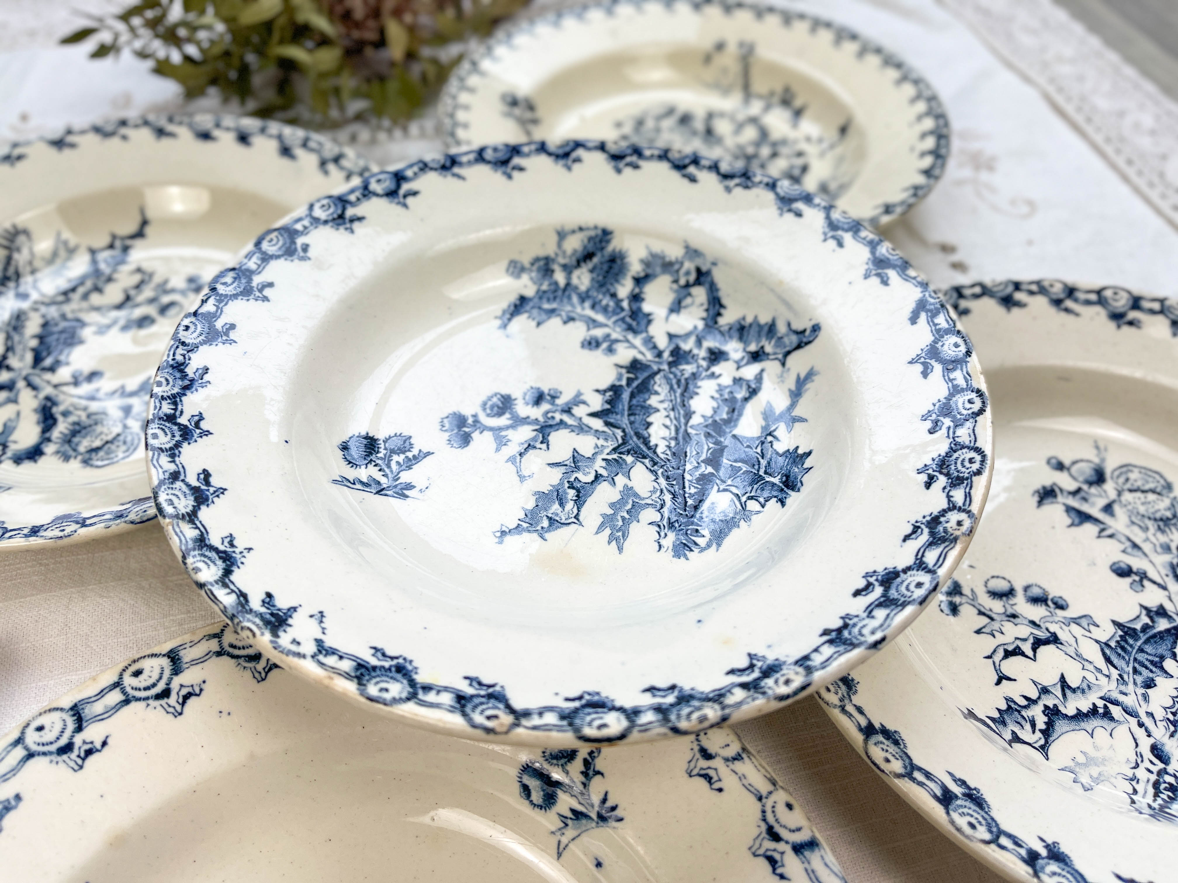 5 assiettes creuses terre de fer gien modèle chardons made in france