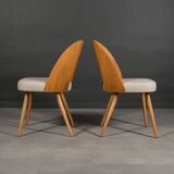 Set of 8 dining chairs by A. Šuman, 1960s