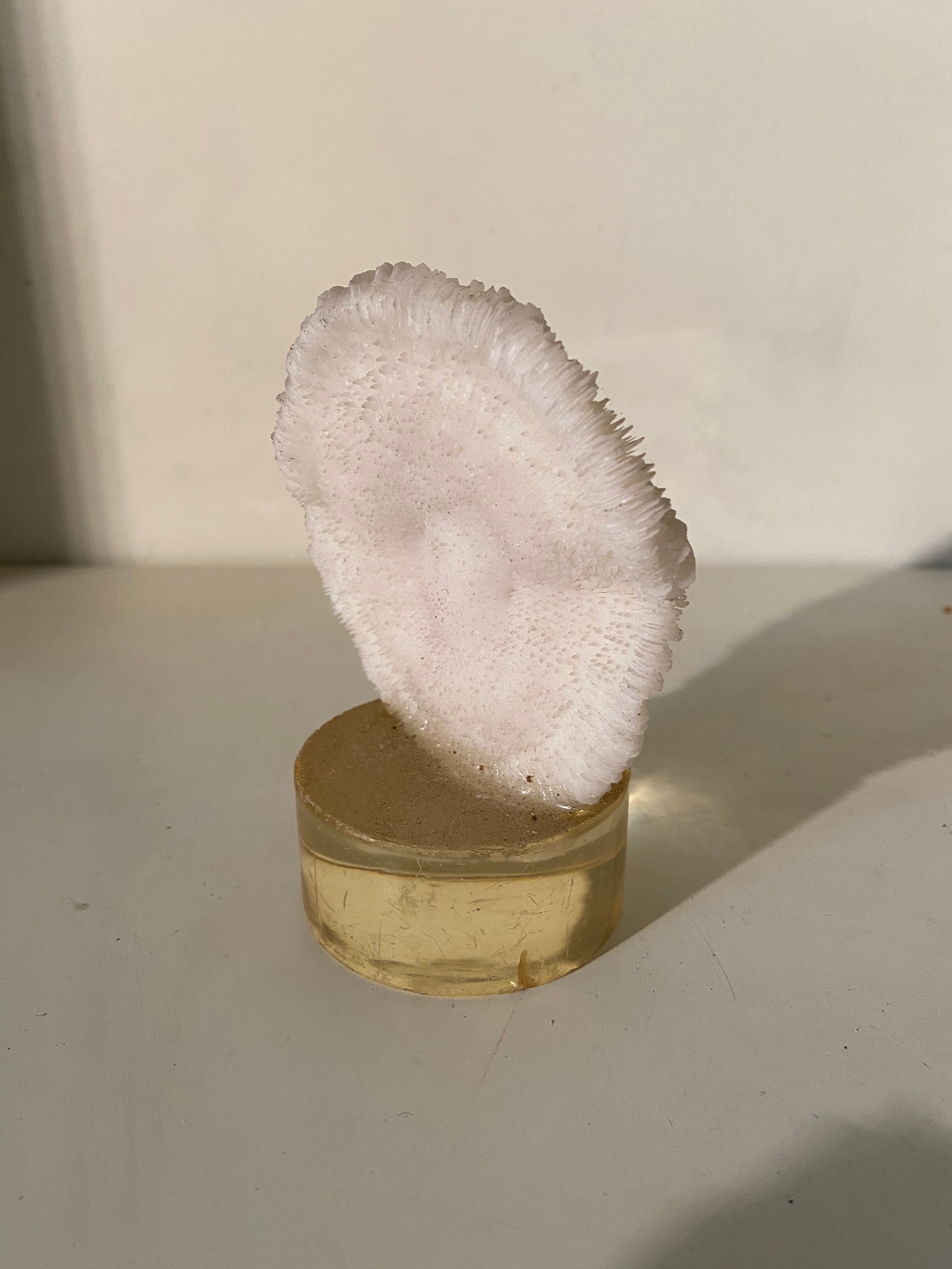 Corail sur résine vintage