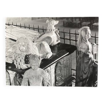 Photo argentique Bernard Darot XXe Lion