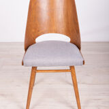 Model lollipop dining chairs from Tatra, 1960
