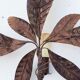 Pair of vintage metal sheets patinated around 1970'
