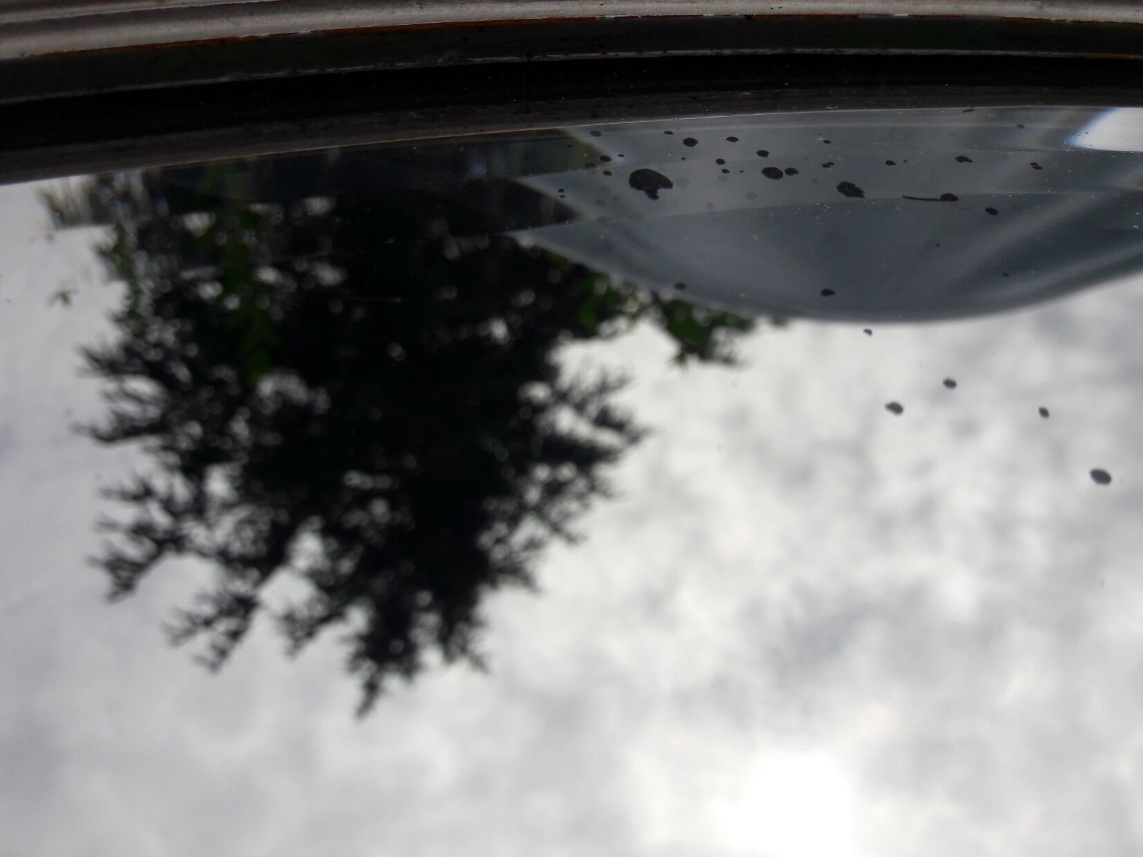 Oval mirror 38 x 65 cm