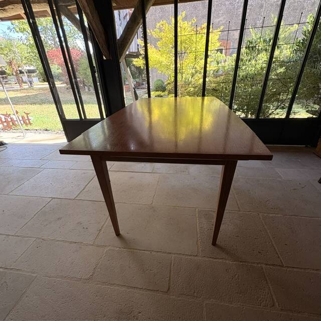 Scandinavian teak table edition EROS 1960