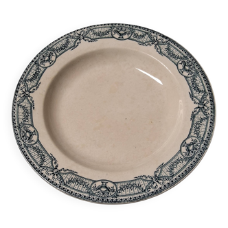 Iron ore salt deposits