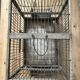 Old bird cage
