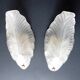 Paire of sconces 1950