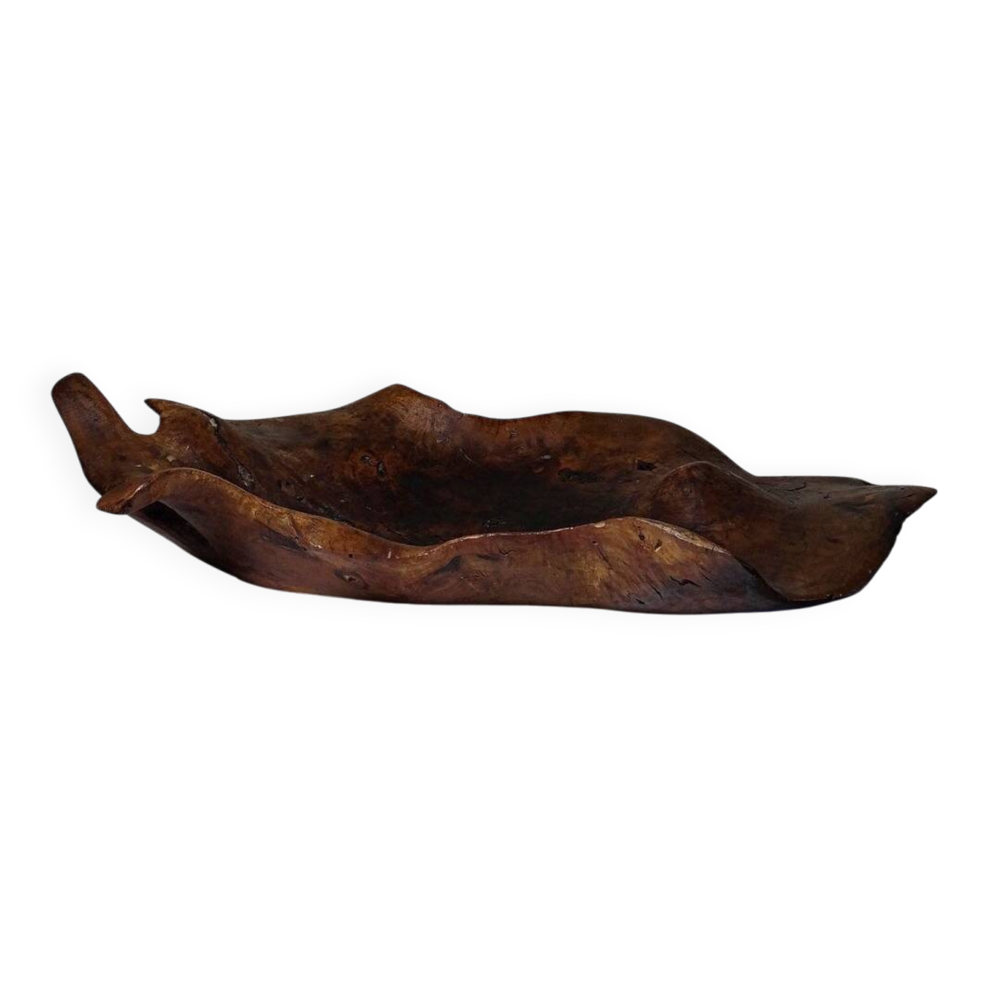 Large monoxyl bowl in dark raw olive wood from the 50s