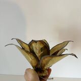Copper-plated brass flower wall light
